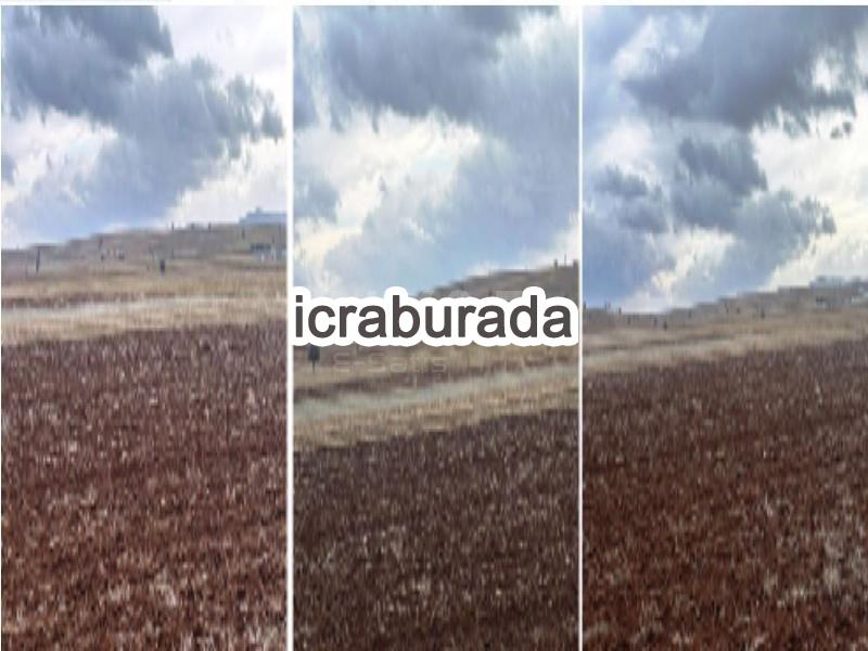 icralık  m2 Tarla Konya Akören Hacilar