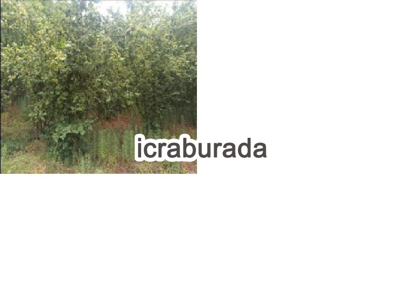 icralık  m2 Diger Düzce Akçakoca Kalkin
