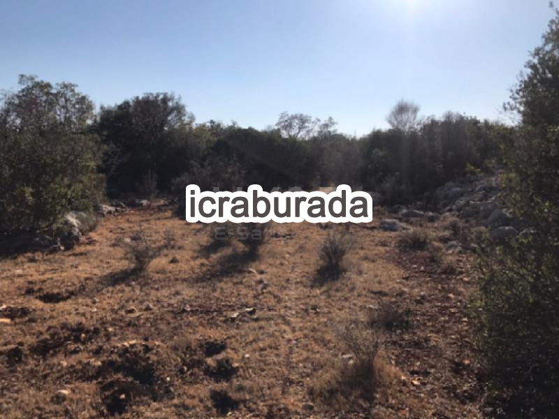 icralık  m2 Tarla Mersin Silifke Hüseyinler