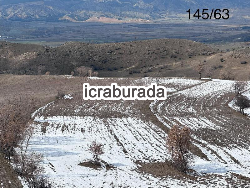 icralık  m2 Tarla Çorum Osmancık Kargi