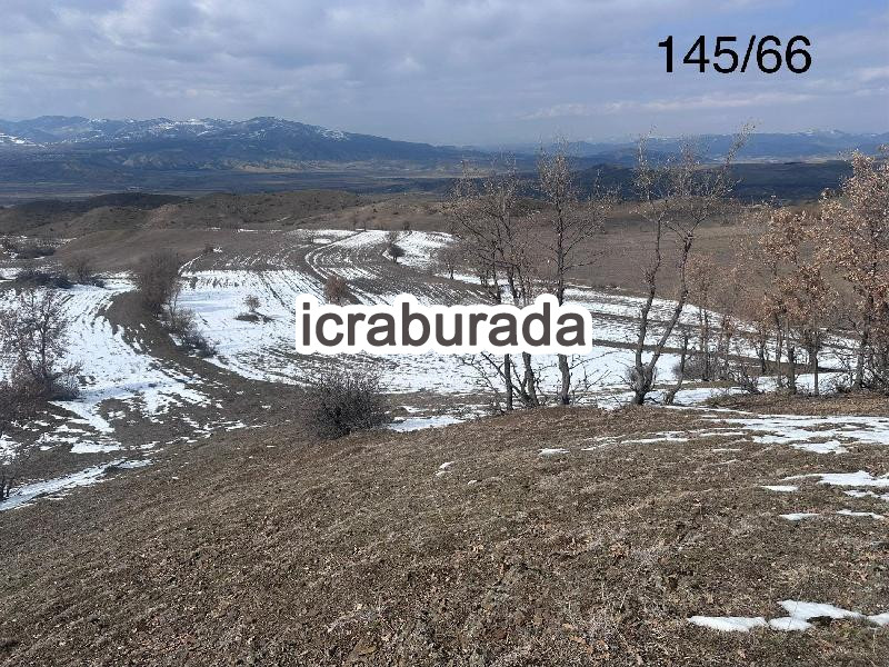 icralık  m2 Tarla Çorum Osmancık Kargi