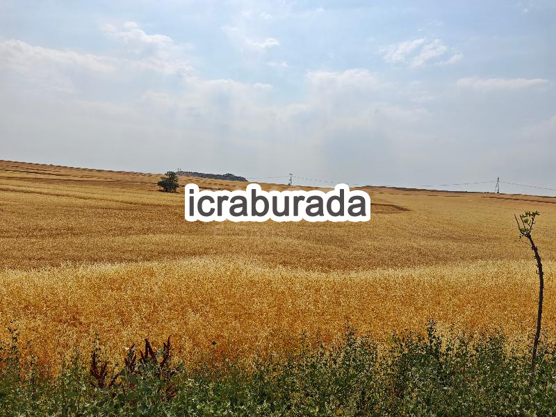 icralık  m2 Tarla Kayseri Kocasinan Erkilet Tepe