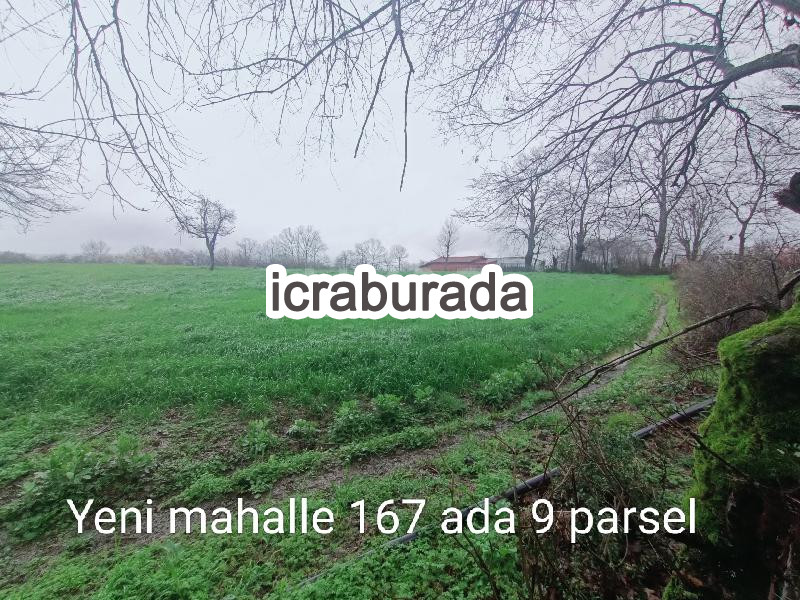 icralık  m2 Tarla Çanakkale Yenice Yeni