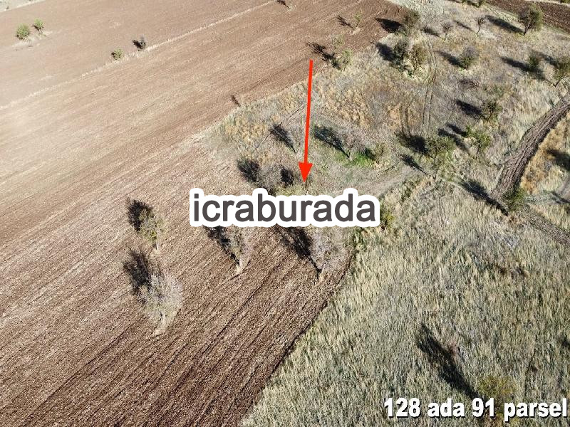 icralık  m2 Tarla Denizli Acıpayam Corum