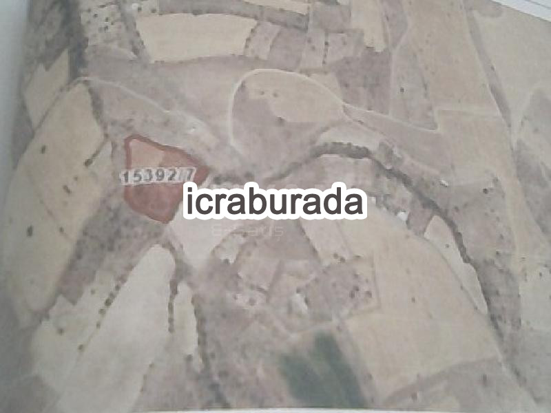 icralık  m2 Tarla Kayseri Melikgazi Ağirnas