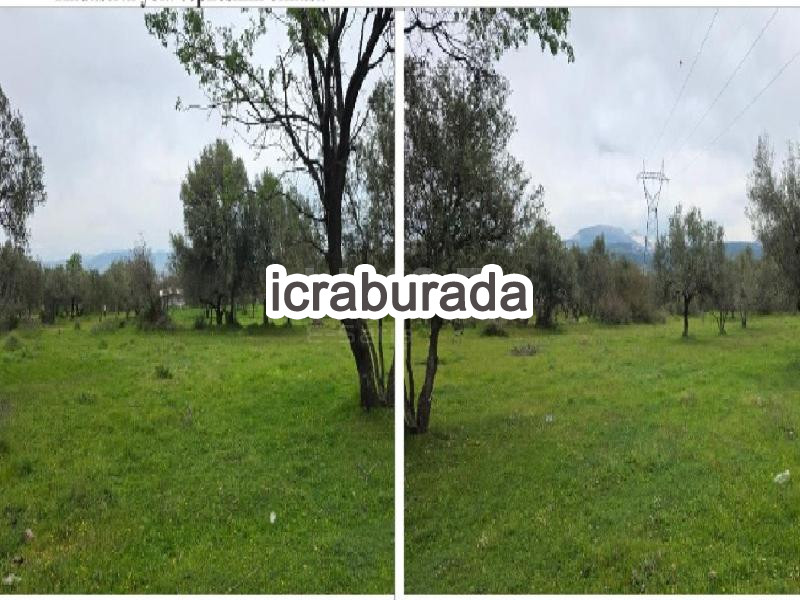 icralık  m2 Tarla İzmir Kınık Türkcedit