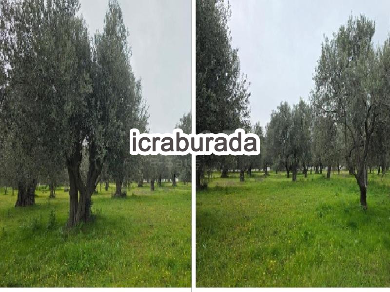 icralık  m2 Tarla İzmir Kınık Türkcedit