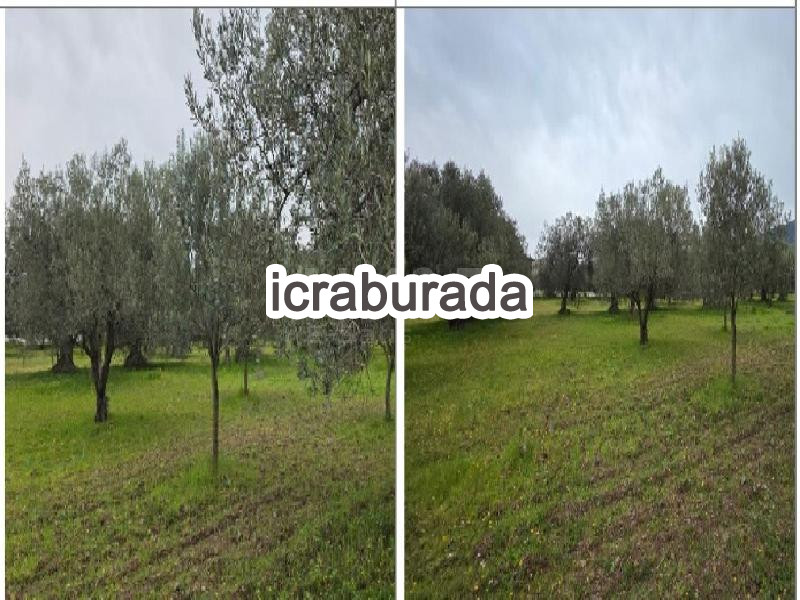 icralık  m2 Tarla İzmir Kınık Türkcedit