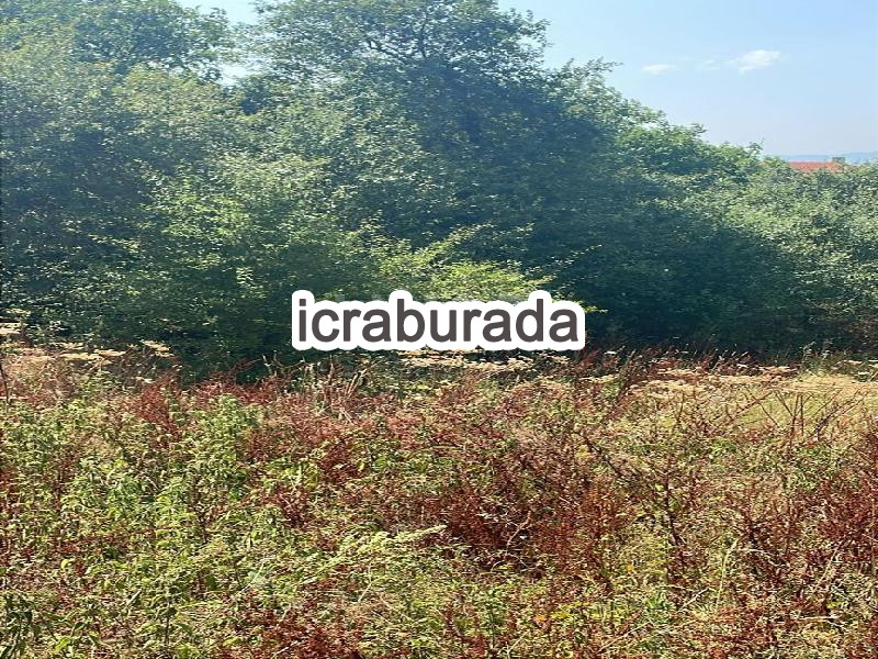 icralık  m2 Tarla Bolu Merkez Kindira