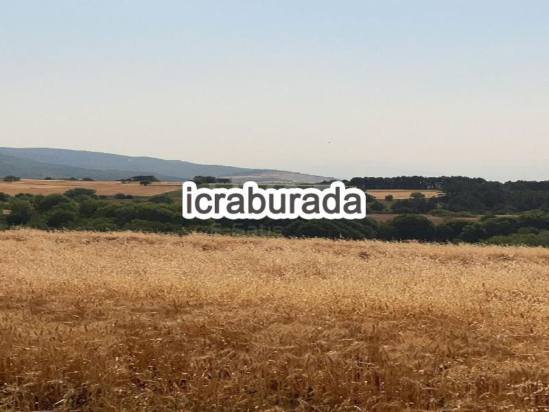 icralık  m2 Tarla Bolu Merkez Kindira