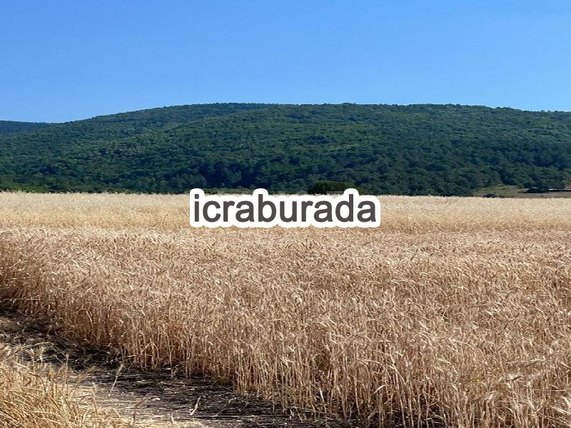 icralık  m2 Tarla Bolu Merkez Kindira