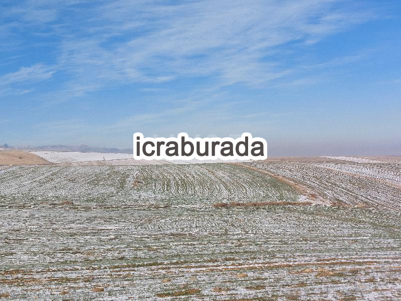 icralık  m2 Tarla Afyonkarahisar Merkez Işiklar-İstiklal