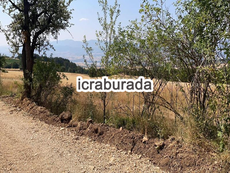 icralık  m2 Tarla Bolu Merkez Kindira