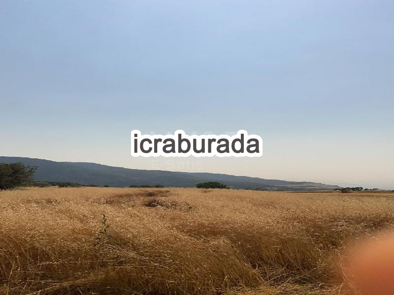 icralık  m2 Tarla Bolu Merkez Kindira