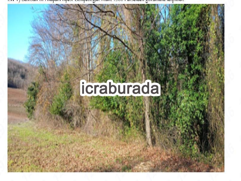 icralık  m2 Tarla Samsun Alaçam Gökçeboğaz