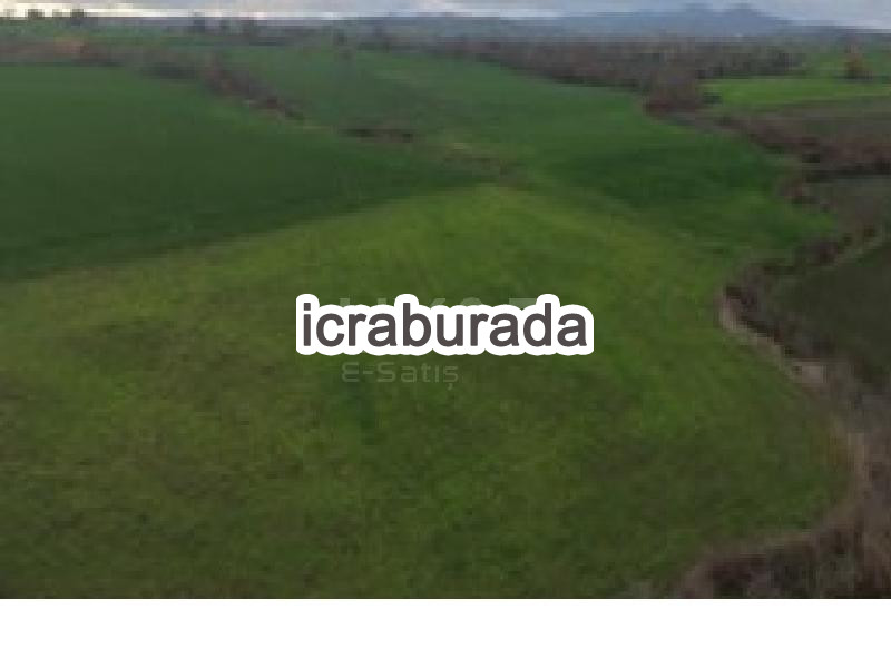 icralık  m2 Tarla Çanakkale Biga Karanti