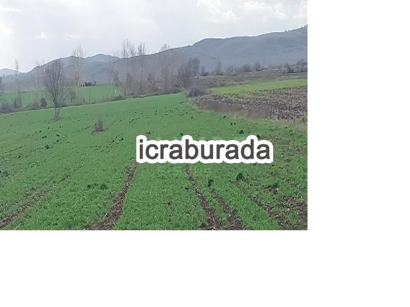 icralık  m2 Tarla Çanakkale Biga Karanti