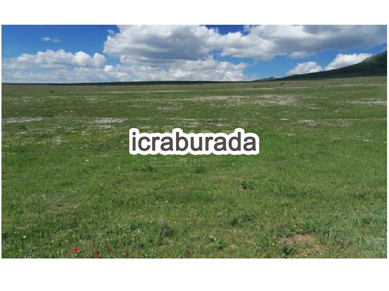 icralık  m2 Diger Erzurum Aziziye Ocak