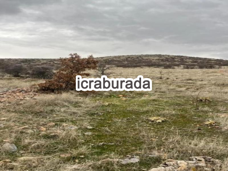icralık  m2 Tarla Denizli Bekilli Poyrazli