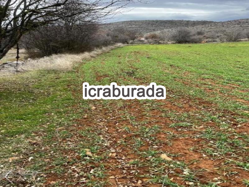 icralık  m2 Tarla Denizli Bekilli Poyrazli