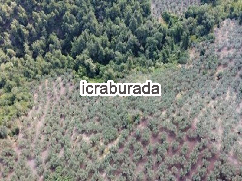 icralık  m2 Diger Bursa Osmangazi Gündoğdu