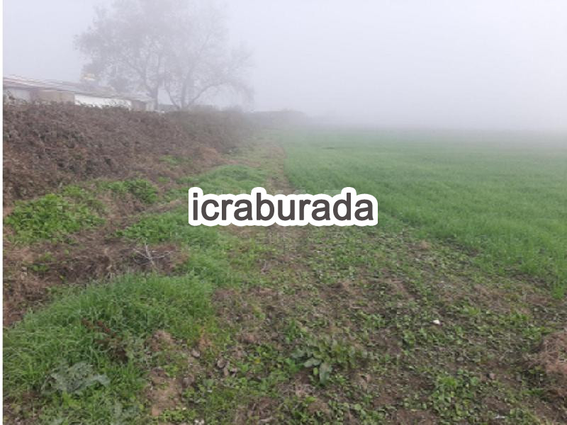 icralık  m2 Tarla Bursa Nilüfer Akçalar