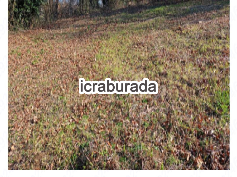 icralık  m2 Tarla Samsun Alaçam Gökçeboğaz