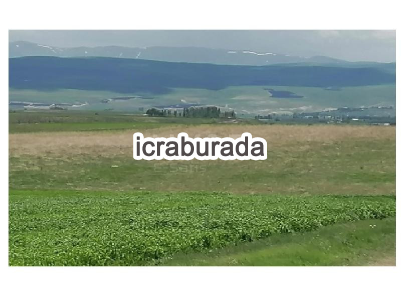 icralık  m2 Tarla Erzurum Aziziye Ocak