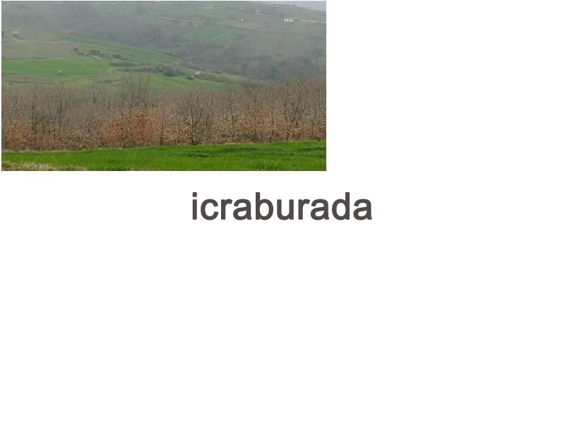 icralık  m2 Tarla Kocaeli Merkez Gökçeviran