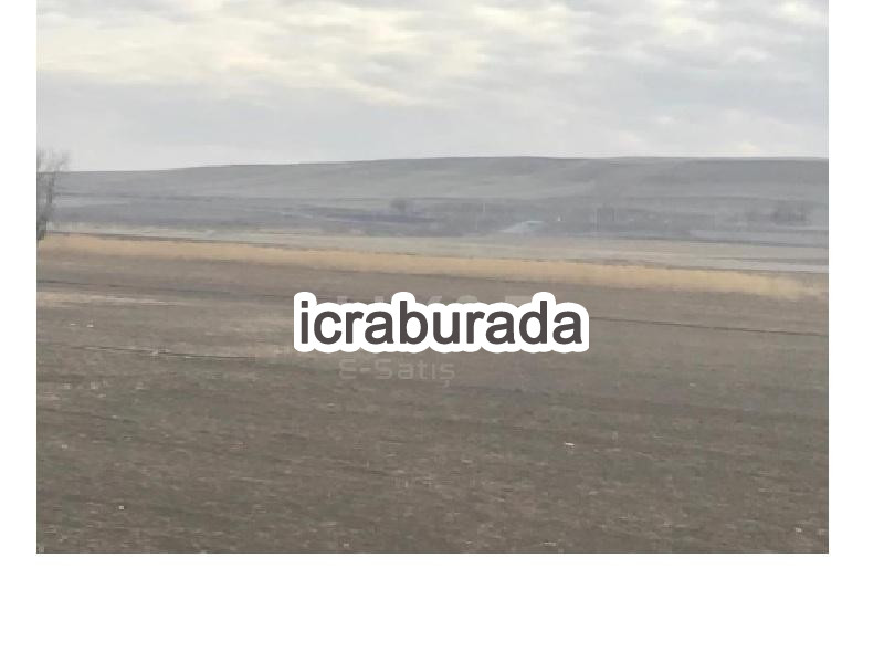 icralık  m2 Tarla Kırıkkale Balışeyh Kirlangiç