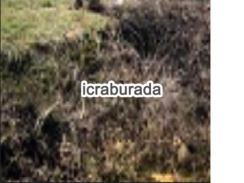 icralık  m2 Tarla Isparta Yenişarbademli Gölkonak