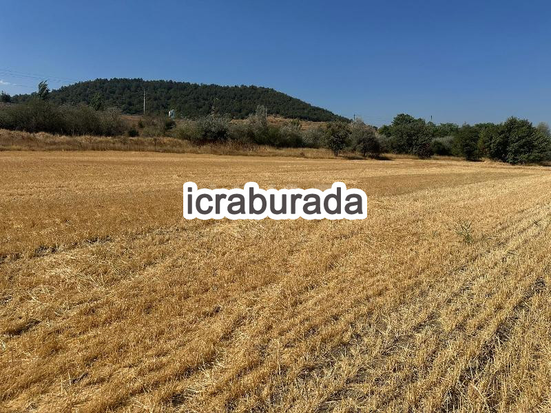 icralık  m2 Tarla Bilecik Bozüyük Yeni
