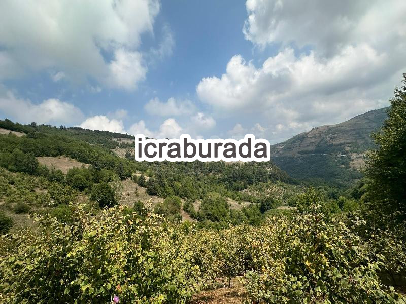 icralık  m2 Tarla Samsun Tekkeköy Karaperçin