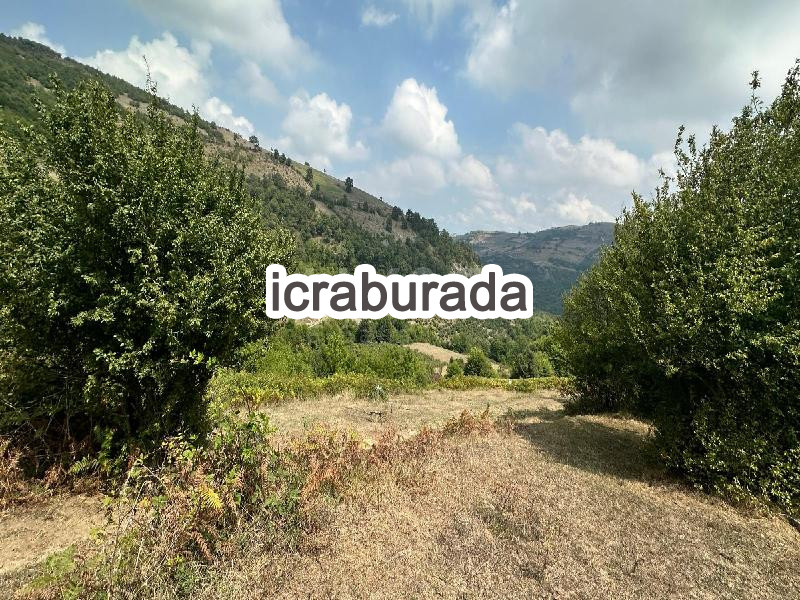 icralık  m2 Tarla Samsun Tekkeköy Karaperçin