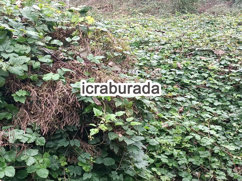 icralık  m2 Diger Zonguldak Ereğli Kizilca
