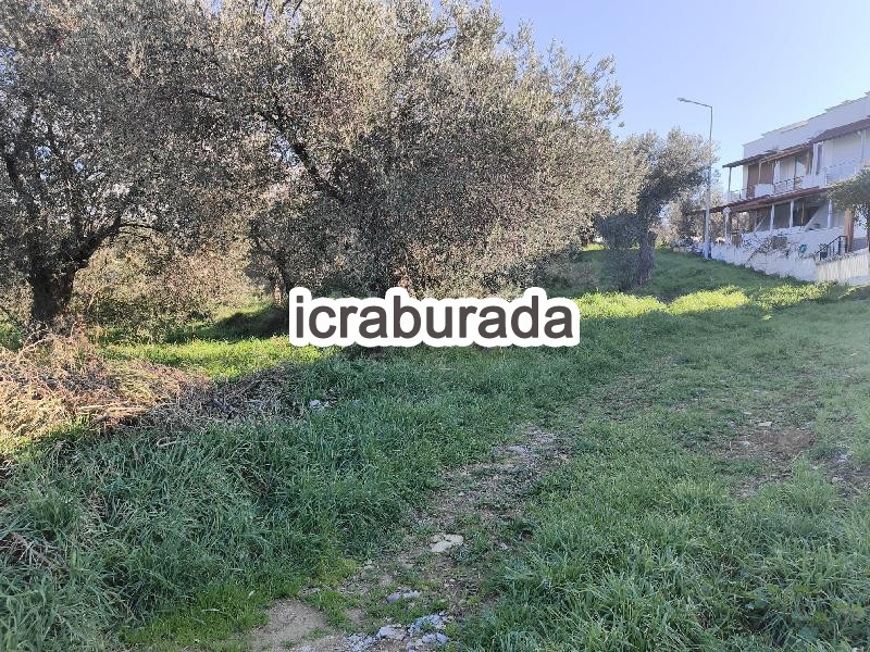 icralık  m2 Arsa Balıkesir Gömeç Karaağaç