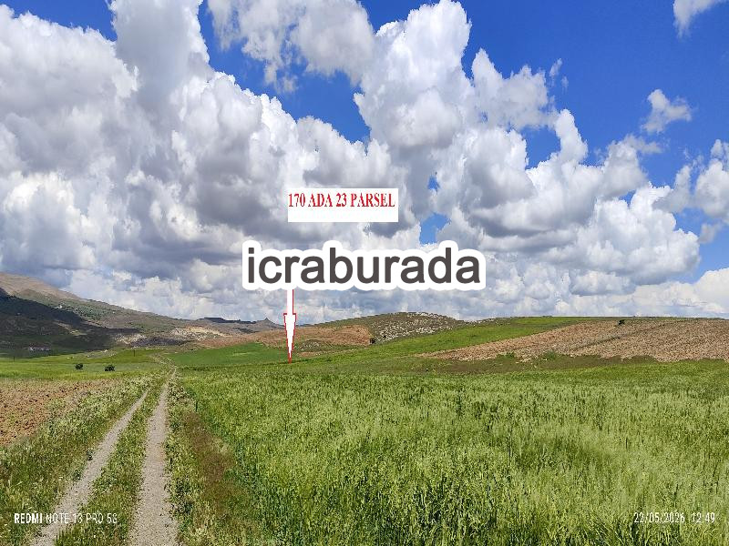 icralık  m2 Tarla Elazığ Merkez Tadim