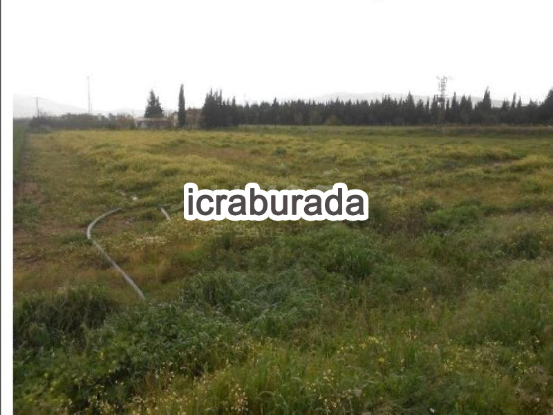 icralık  m2 Tarla İzmir Torbalı Torbali
