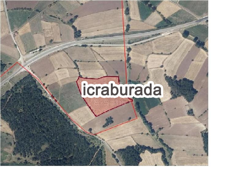 icralık  m2 Tarla Kastamonu İhsangazi Afşar