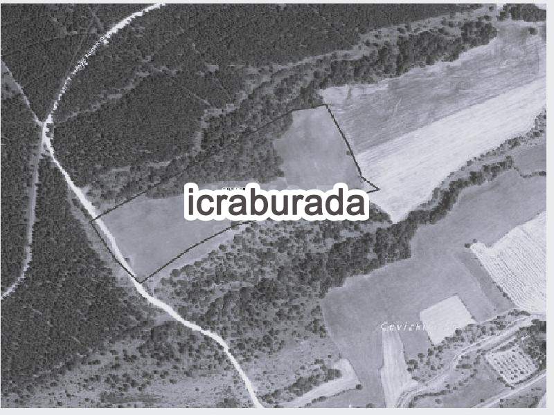 icralık  m2 Tarla Kastamonu Merkez Taşlik