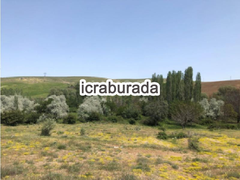icralık  m2 Diger Aksaray Ağaçören Yurtsever
