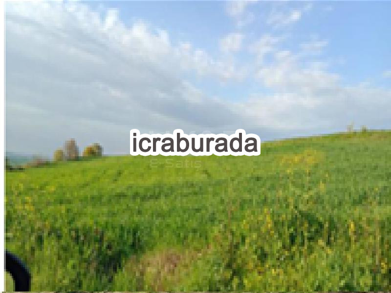icralık  m2 Tarla Balıkesir Susurluk Göbel