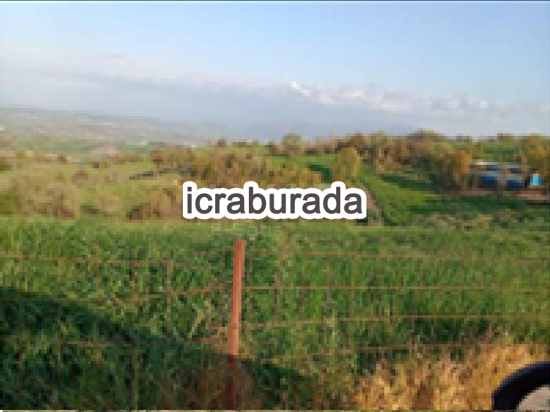 icralık  m2 Tarla Balıkesir Susurluk Göbel