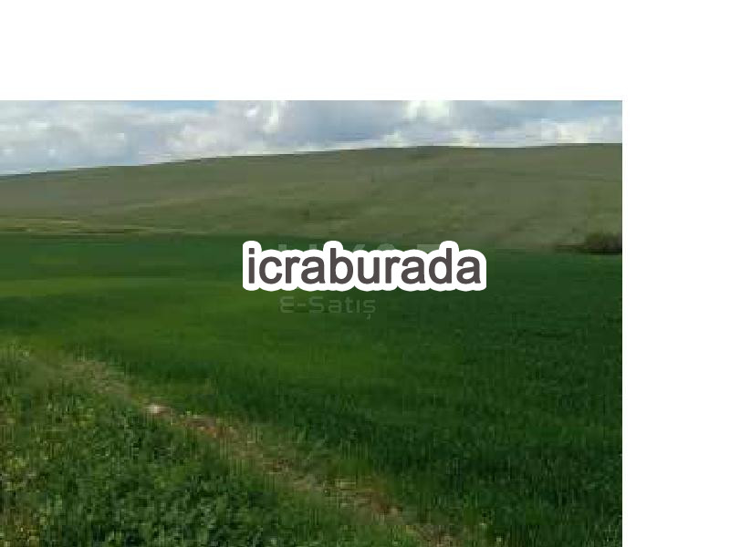 icralık  m2 Tarla Kırşehir Akçakent Avanoğlu