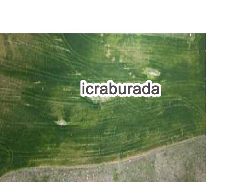 icralık  m2 Tarla Kırşehir Akçakent Avanoğlu