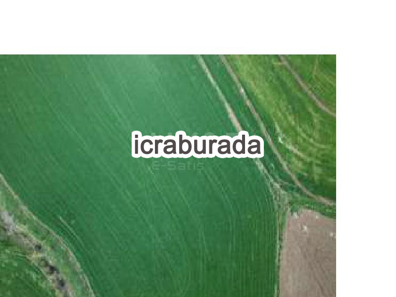 icralık  m2 Tarla Kırşehir Akçakent Avanoğlu