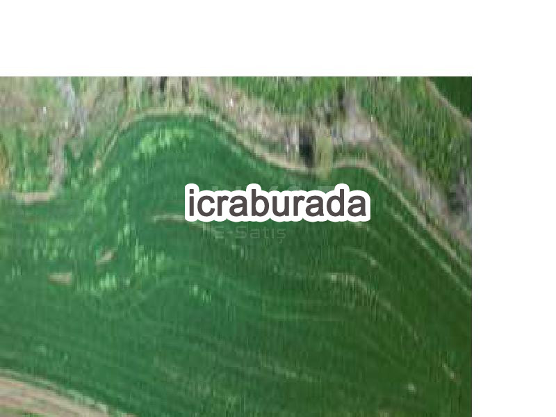 icralık  m2 Tarla Kırşehir Akçakent Avanoğlu
