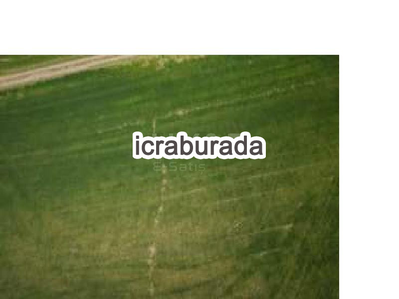 icralık  m2 Tarla Kırşehir Akçakent Avanoğlu