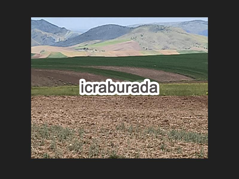 icralık  m2 Tarla Ankara Kalecik Haciköy