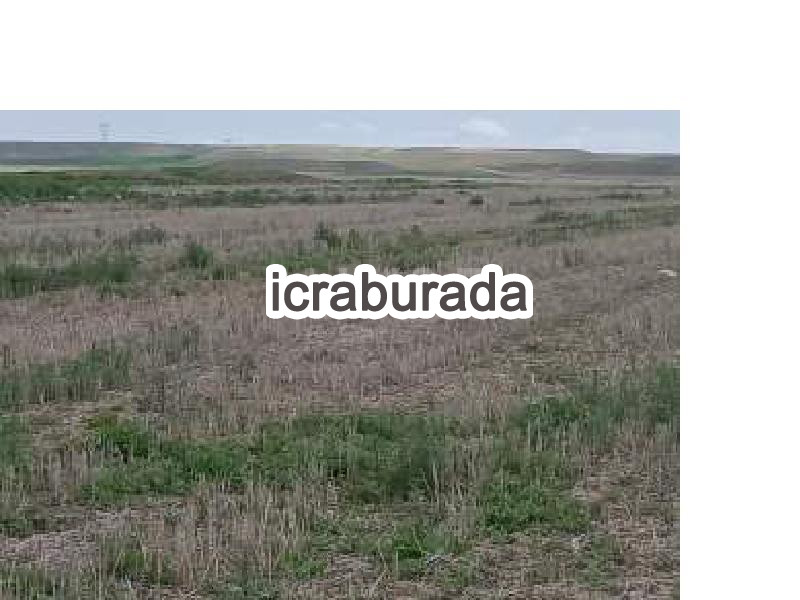 icralık  m2 Tarla Yozgat Yerköy Zencir